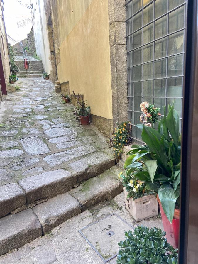 Ribeira Art Terrace Leilighet Porto Eksteriør bilde